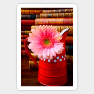 Pink Daisy In Red French Pitcher Sticker